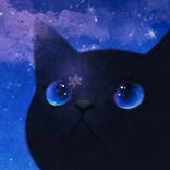 black cat with blue eyes staring at a snowflake that is about to fall on its nose against a deep blue, night sky with stars and purple clouds.